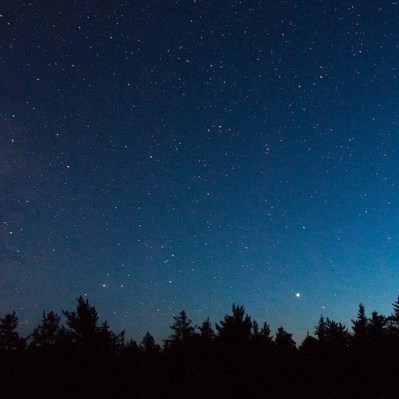 silhouette of trees under blue sky during night time